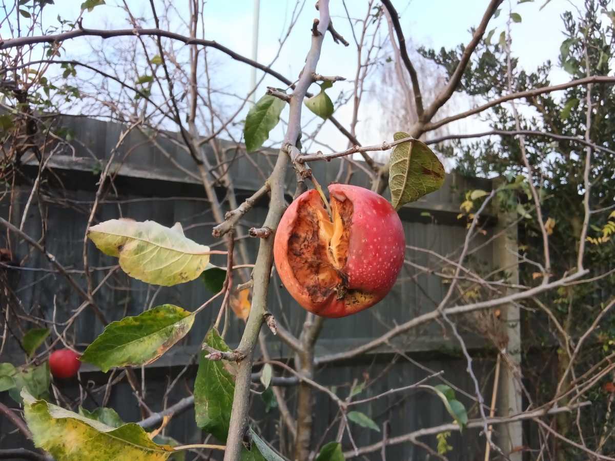 IMG 20251118 150905661