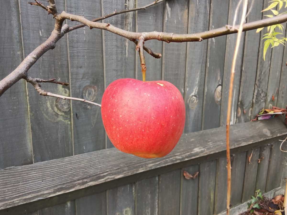 IMG 20251118 150915529