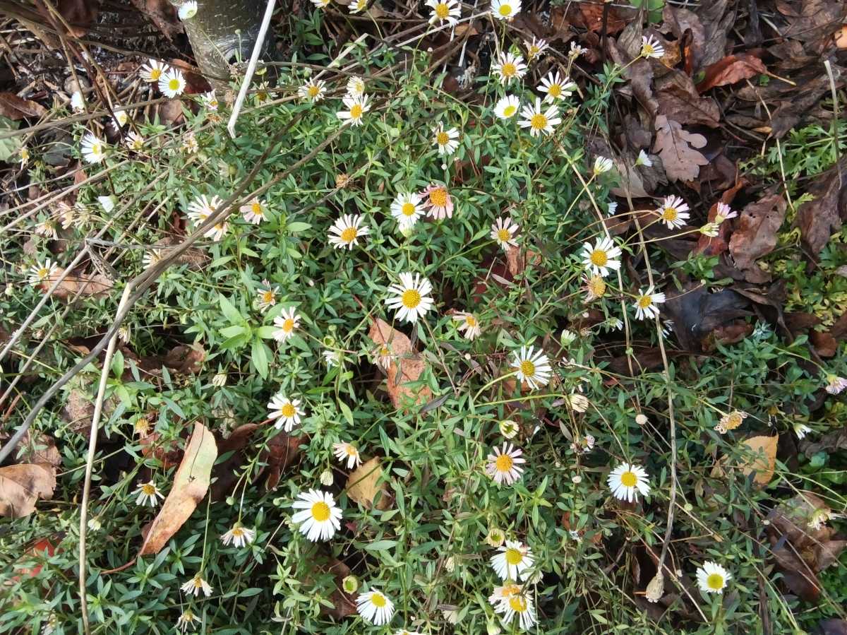 IMG 20251118 150922190