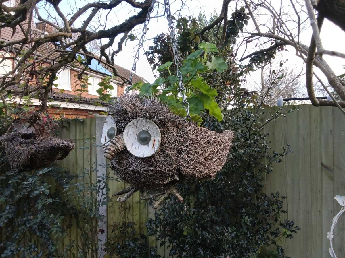 IMG 20251118 150947066