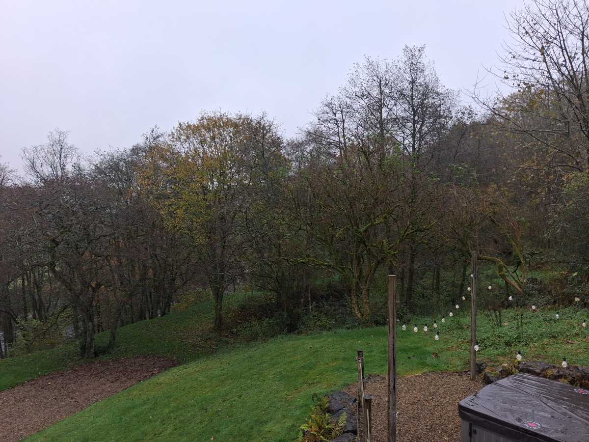 Samsung Galaxy A17 5G camera samples 17