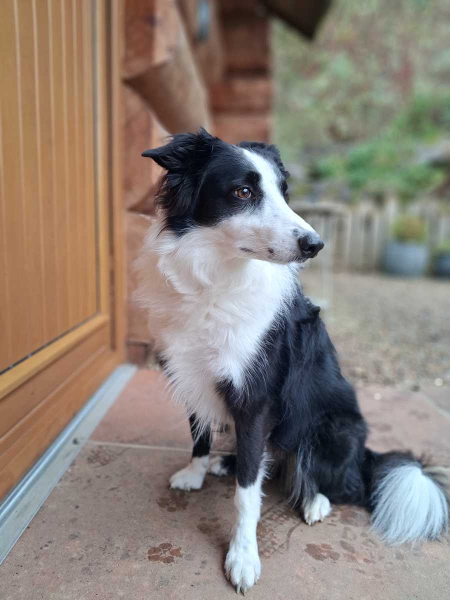 Samsung Galaxy A17 5G camera samples 21