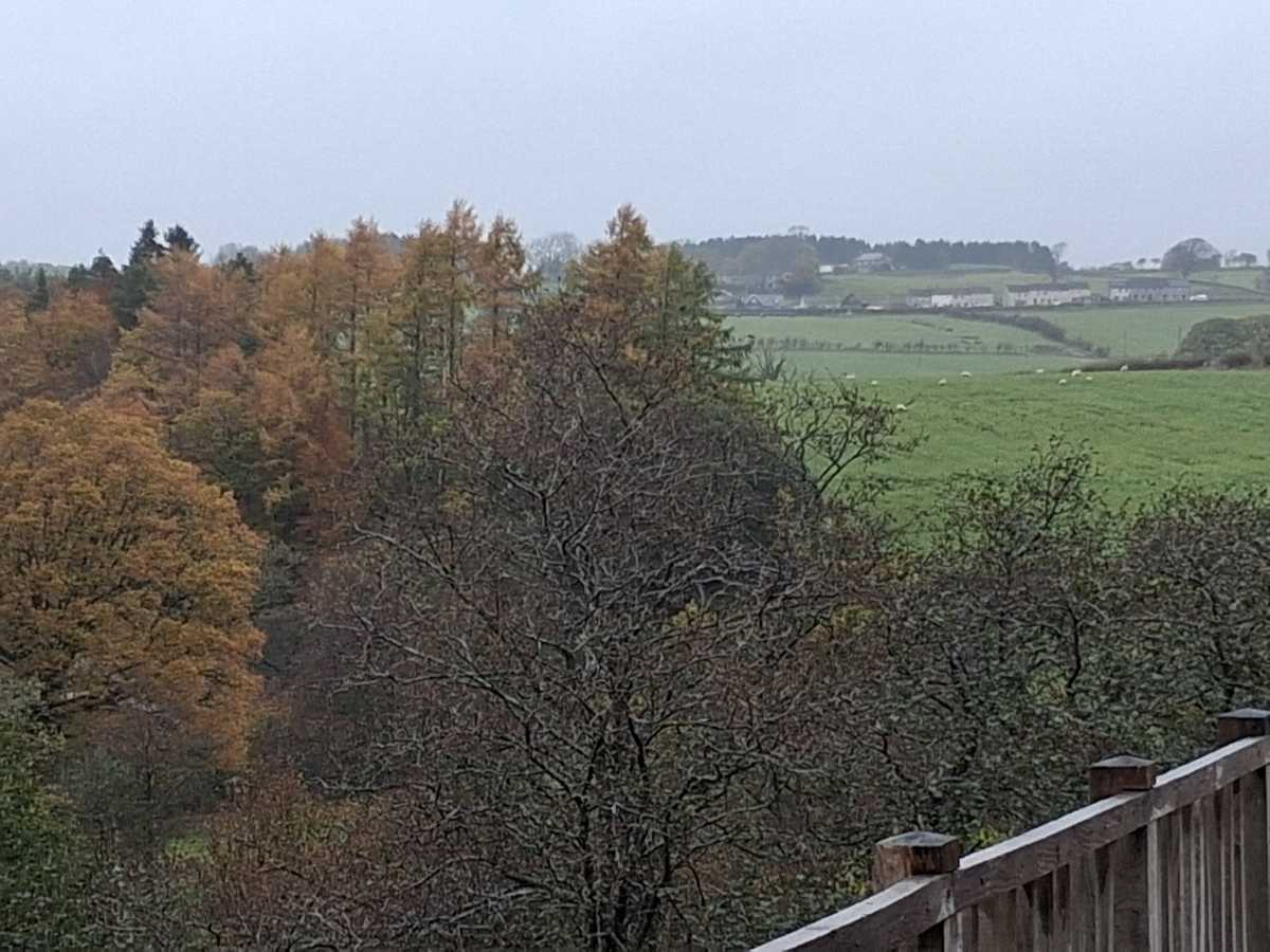 Samsung Galaxy A17 5G camera samples 25