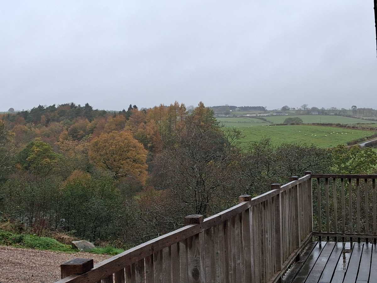 Samsung Galaxy A17 5G camera samples 26