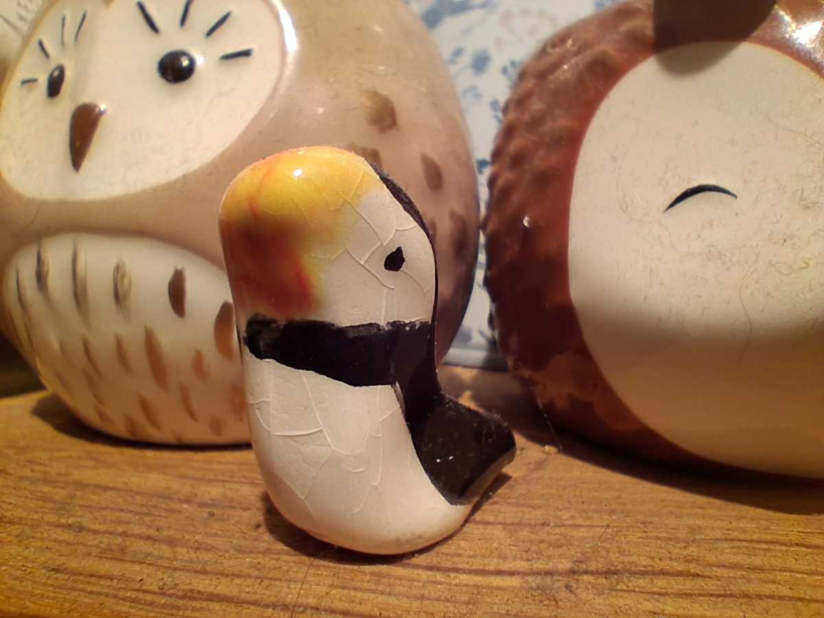 Samsung Galaxy A17 5G camera samples 7