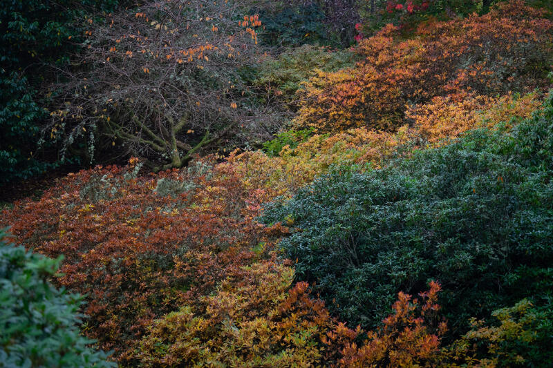 Lågupplöst landskap