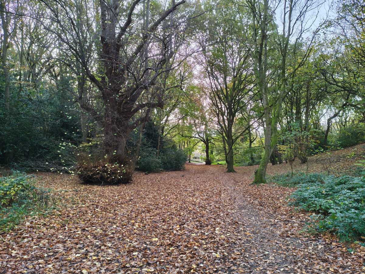 motorola edge 70 camera sample 13