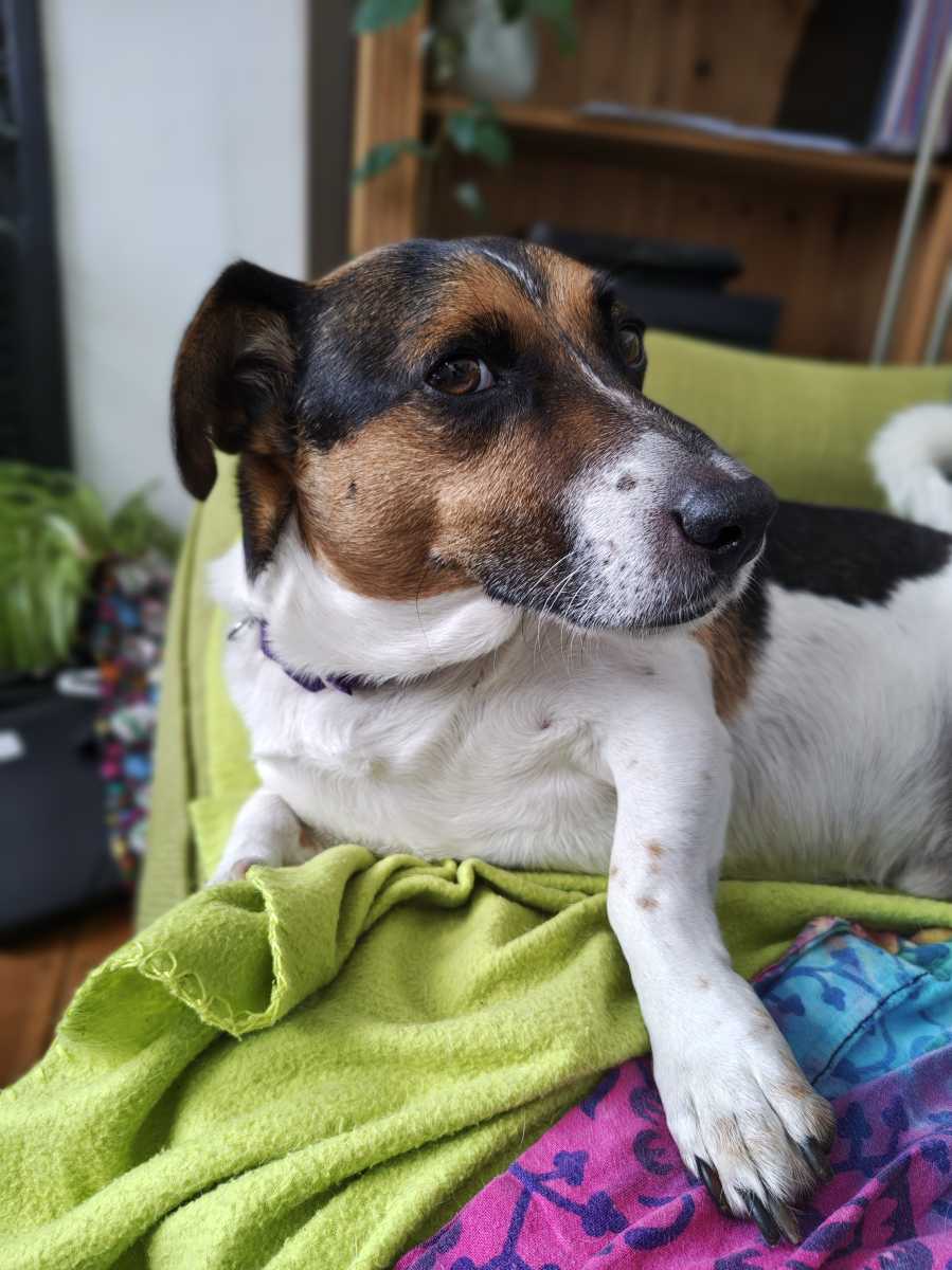 motorola edge 70 camera sample 8