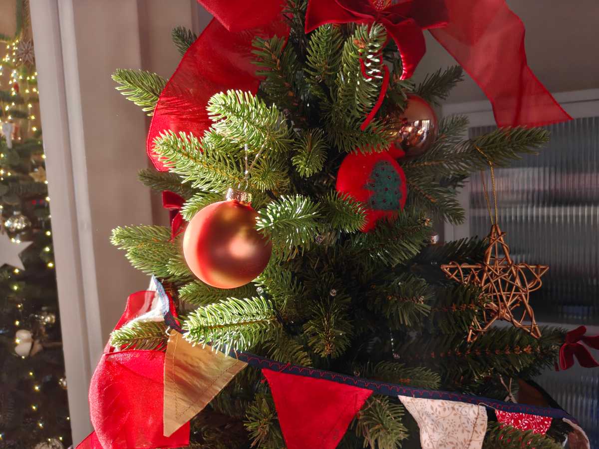 OnePlus 15R camera sample bauball