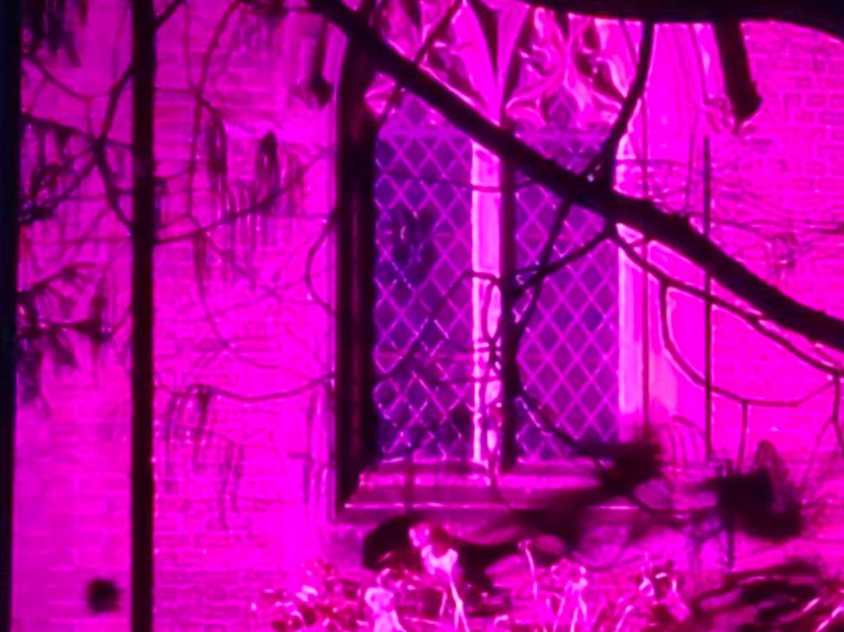 OnePlus 15R camera sample coloured lights low light 10x zoom