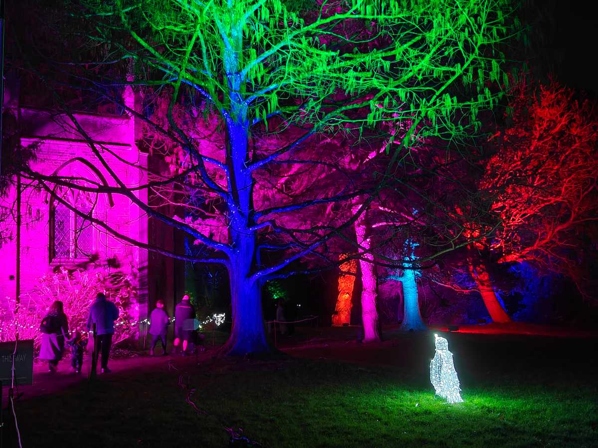 OnePlus 15R camera sample coloured lights low light 2x zoom