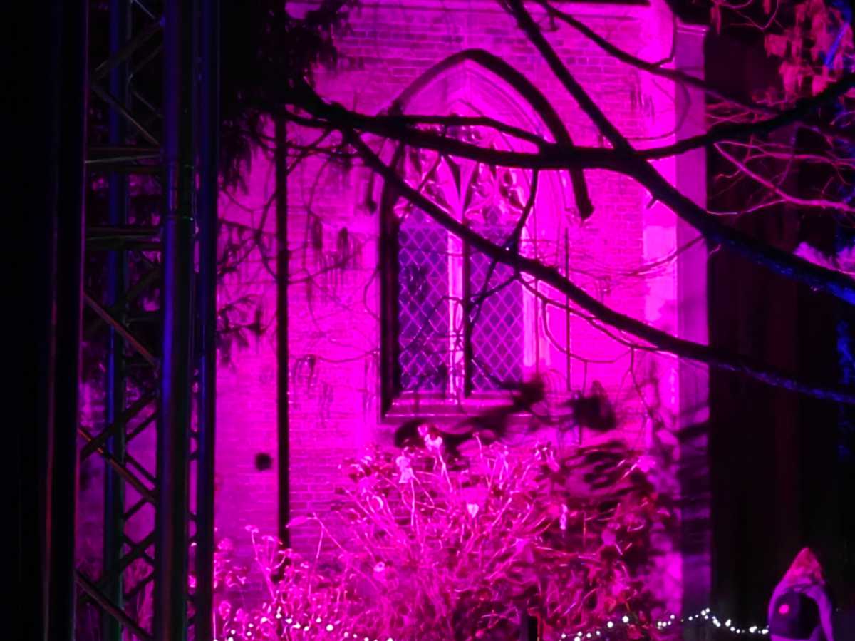 OnePlus 15R camera sample coloured lights low light 5x zoom