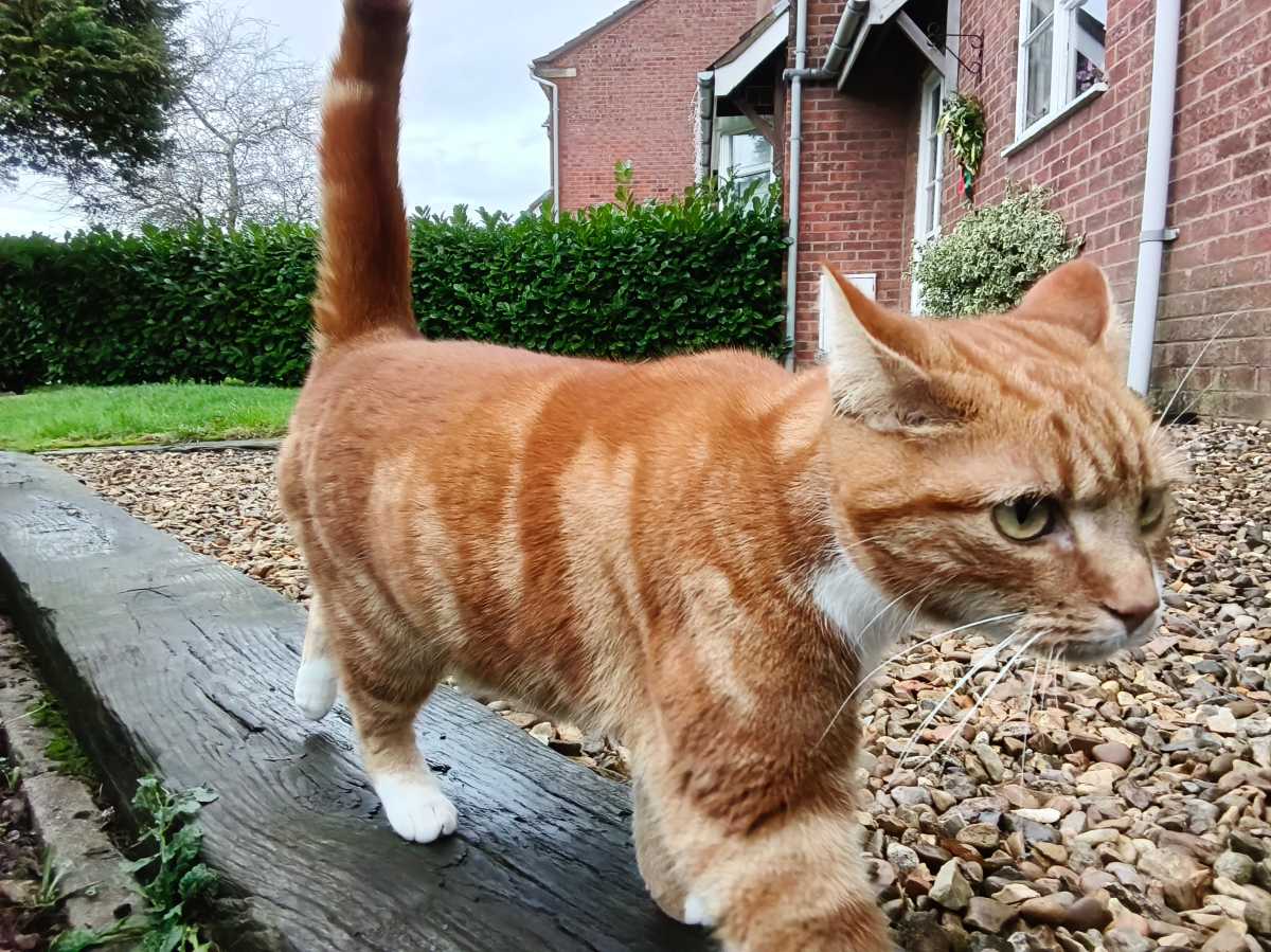 OnePlus Pad Go 2 test photo 1