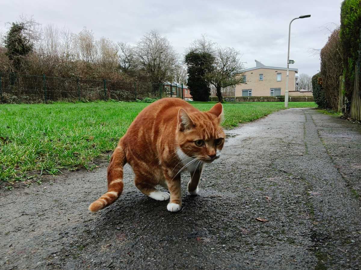 OnePlus Pad Go 2 test photo 2