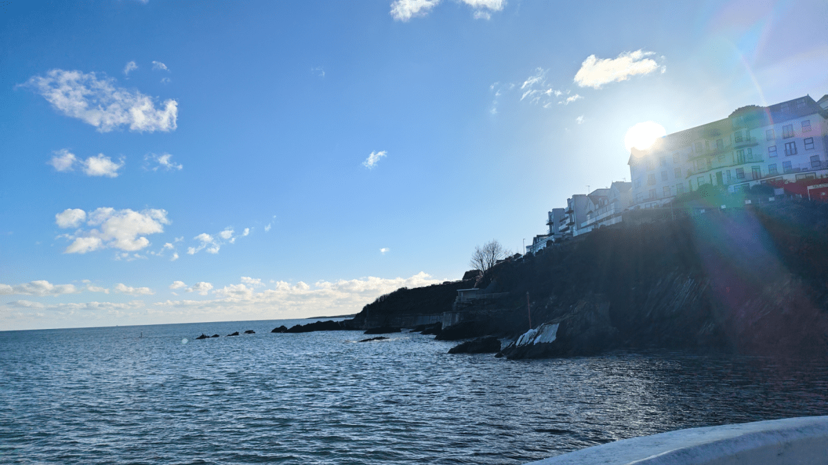 Rredmagic 11 Pro BAY