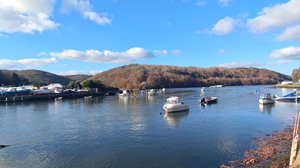 Rredmagic 11 Pro BOATS