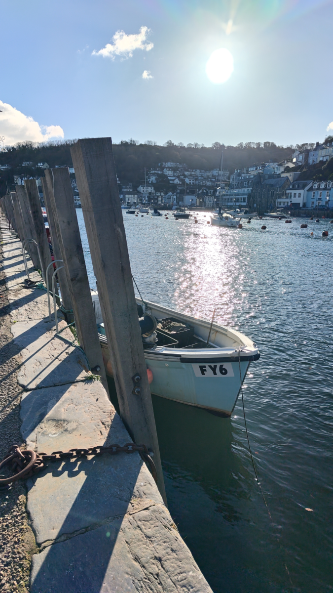 Rredmagic 11 Pro HARBOURSIDE