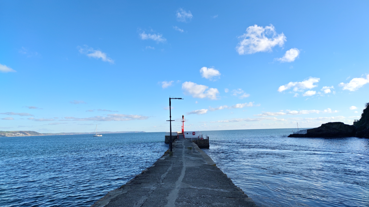 Rredmagic 11 Pro PIER