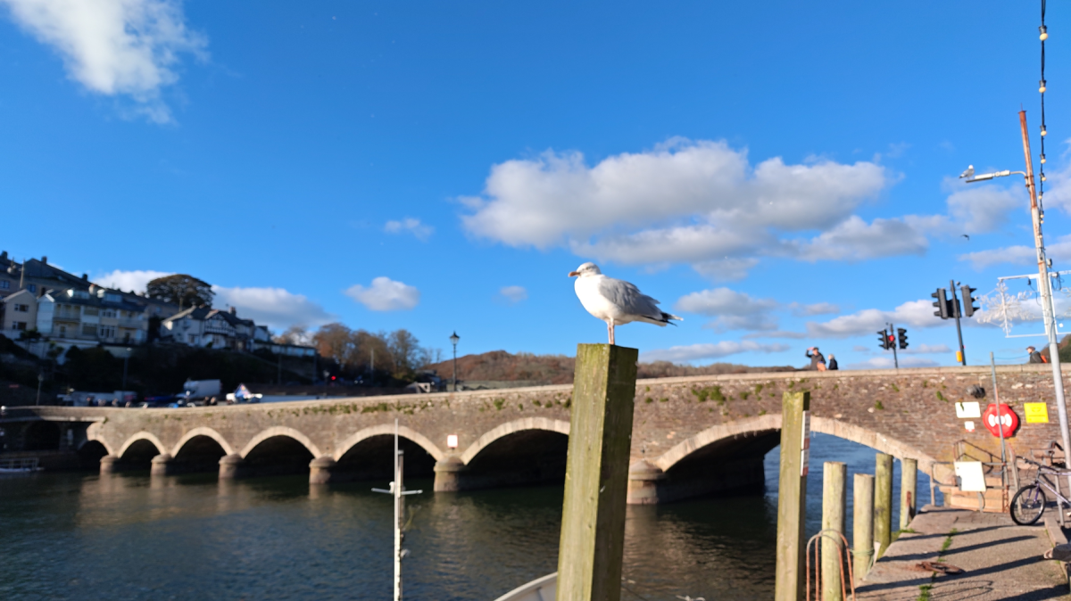 Rredmagic 11 Pro SEAGULL