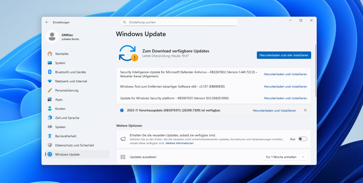 Test GMKtec EVO X2 windows11