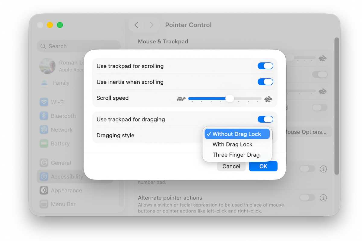 macOS Tahoe Accessibility Pointer Control