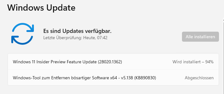 Windows 11 Insider Preview installieren