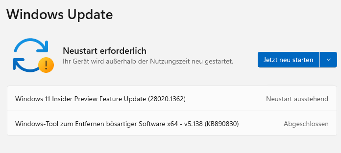 Windows 11 Preview reboot