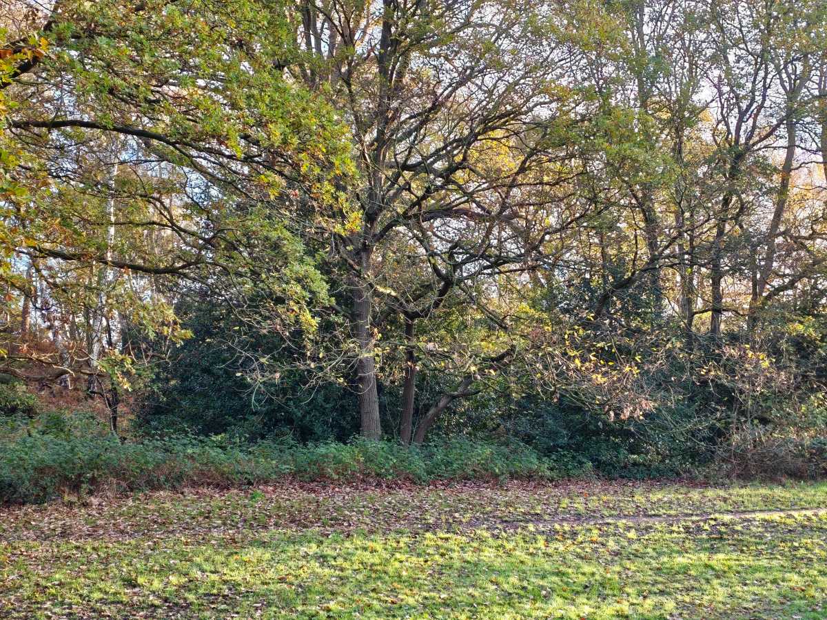 xiaomi poco f8 ultra camera sample 13