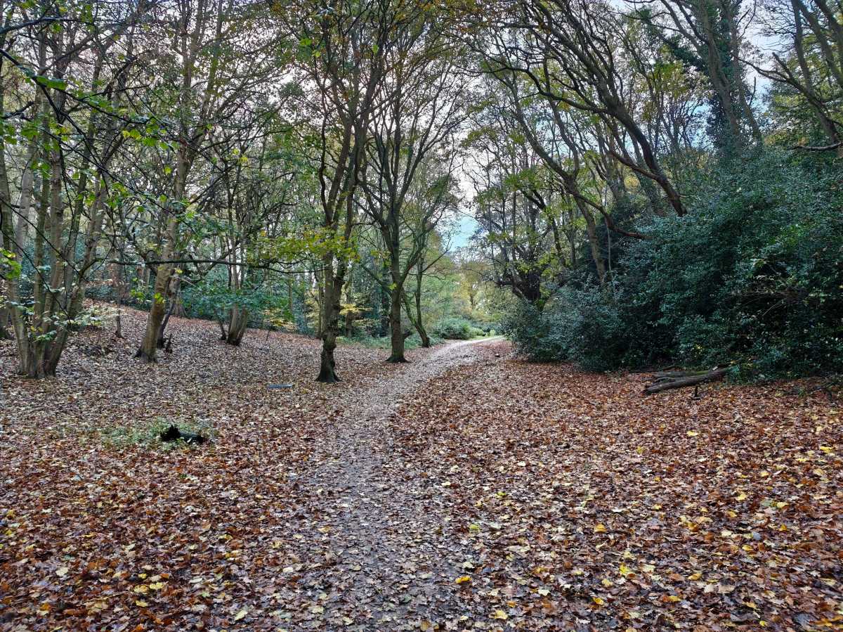 xiaomi poco f8 ultra camera sample 2