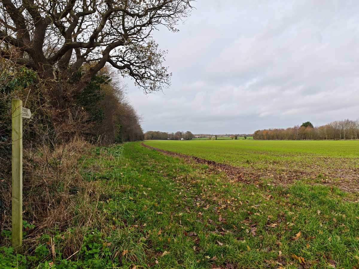 xiaomi poco f8 ultra camera sample 21