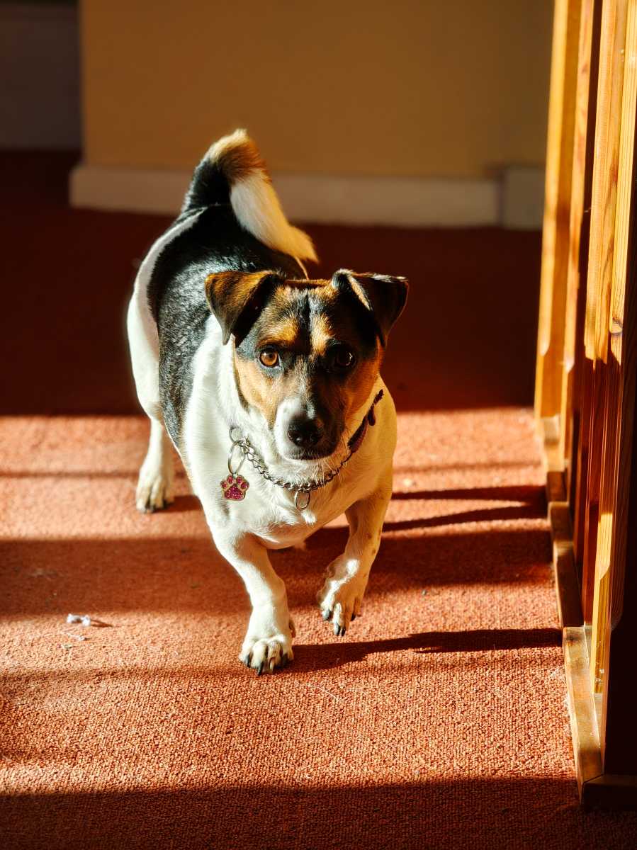 xiaomi poco f8 ultra camera sample 23