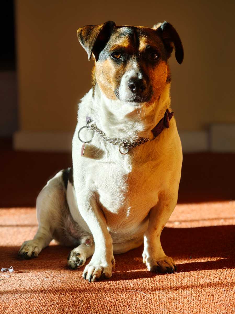 xiaomi poco f8 ultra camera sample 24