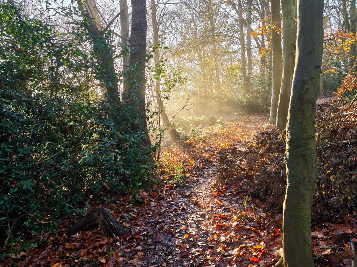 xiaomi poco f8 ultra camera sample 25