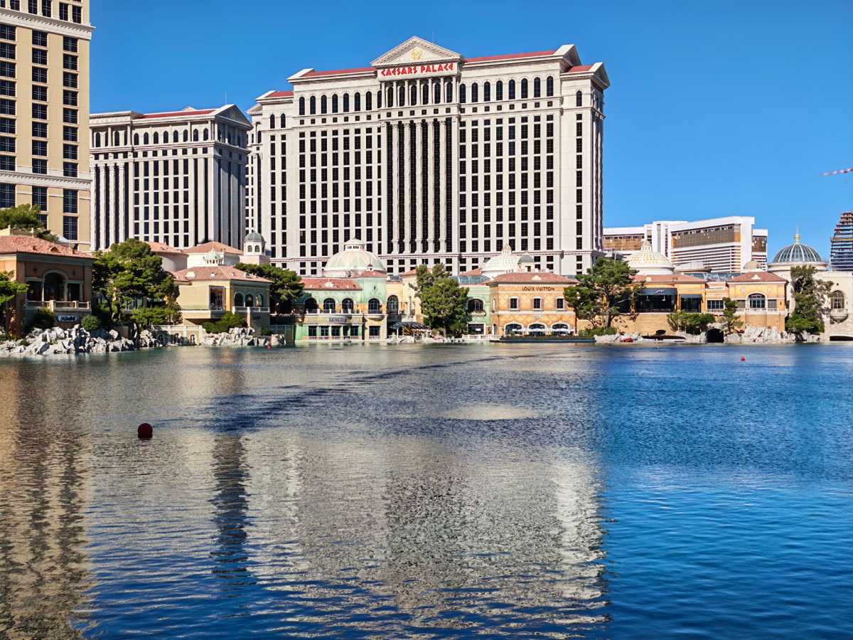 HonorMagic9Pro 2x main camera