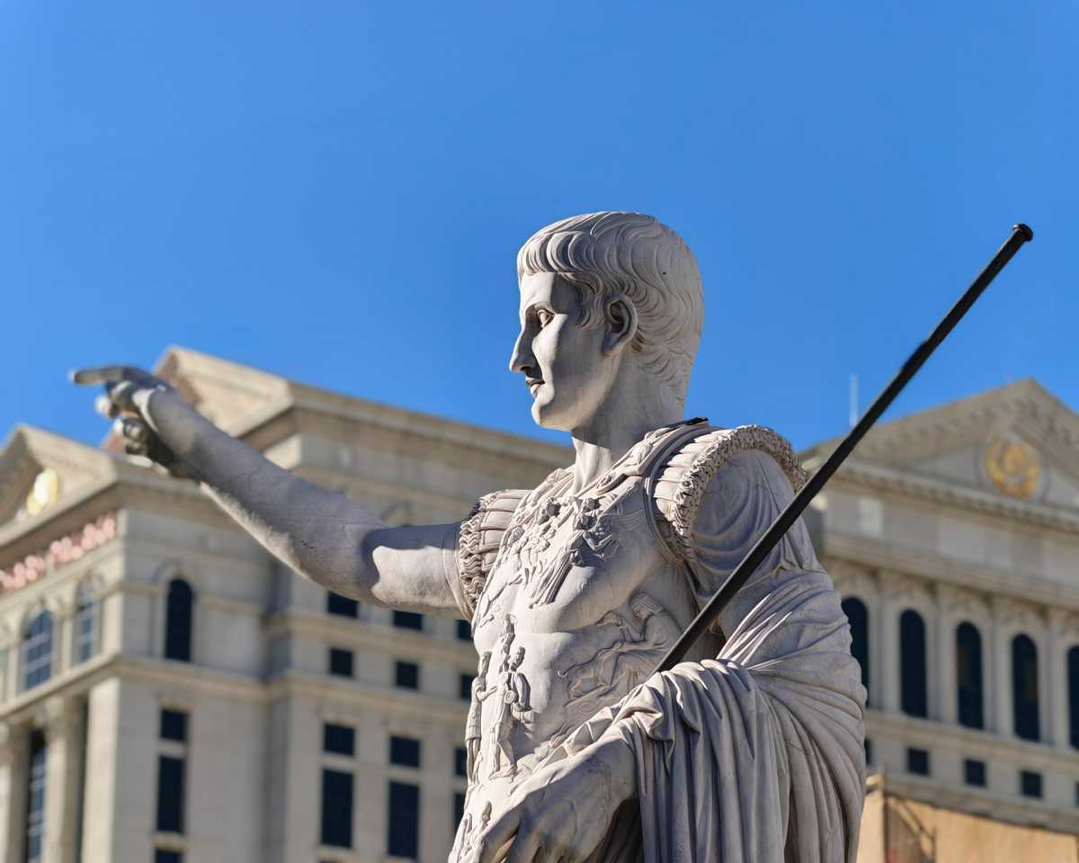 HonorMagic9Pro portrait