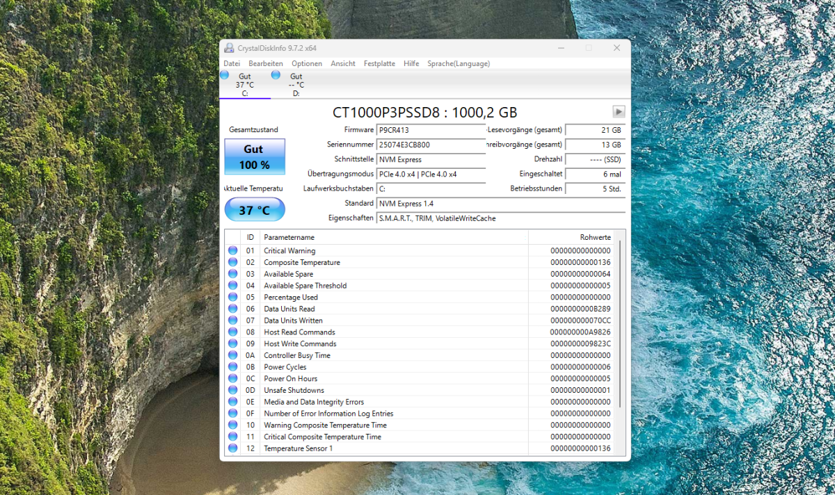 Test PELADN WO4 CrystalDiskInfo