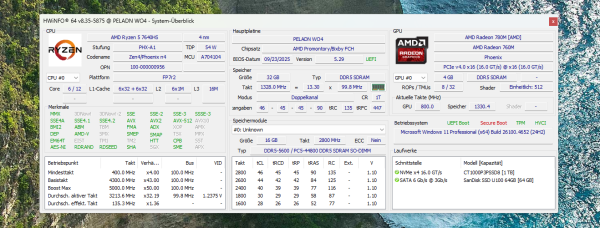 Test PELADN WO4 HWinfo