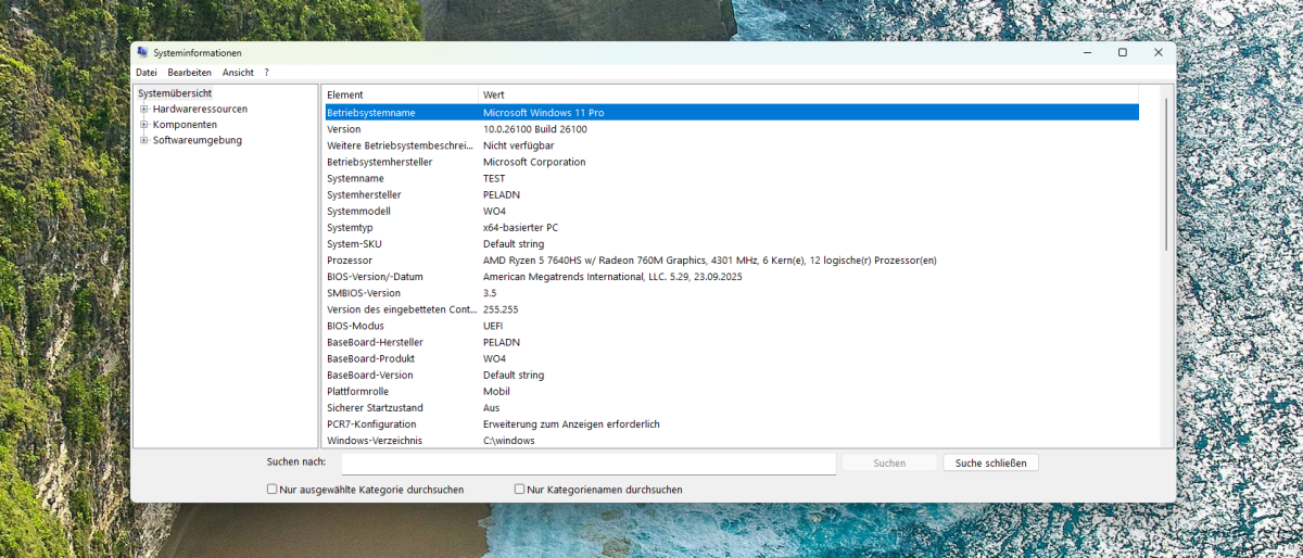 Test PELADN WO4 Windows Sysinfo