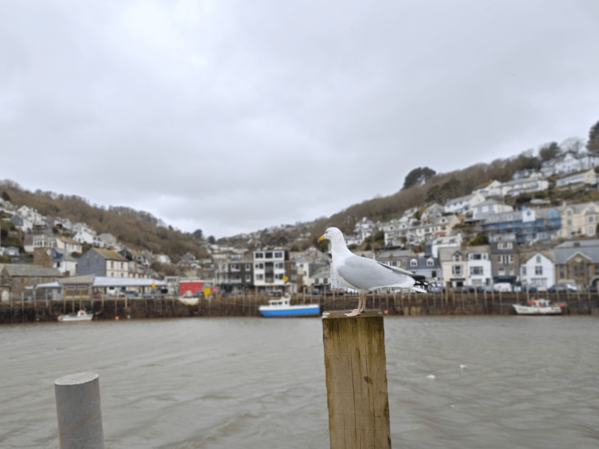 Redmagic 11 Air PORTRAIT