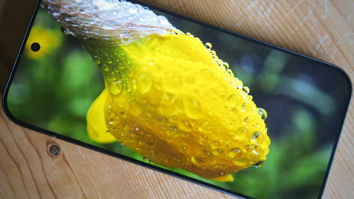 Xiaomi 17 REVIEW display