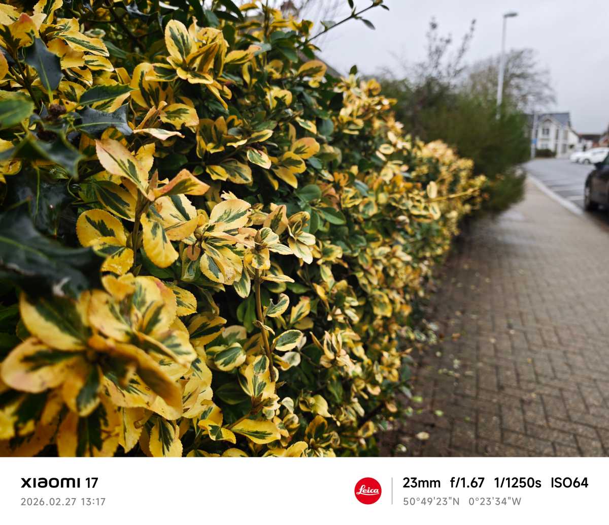 Xiaomi 17 camera sample Leica Authentic