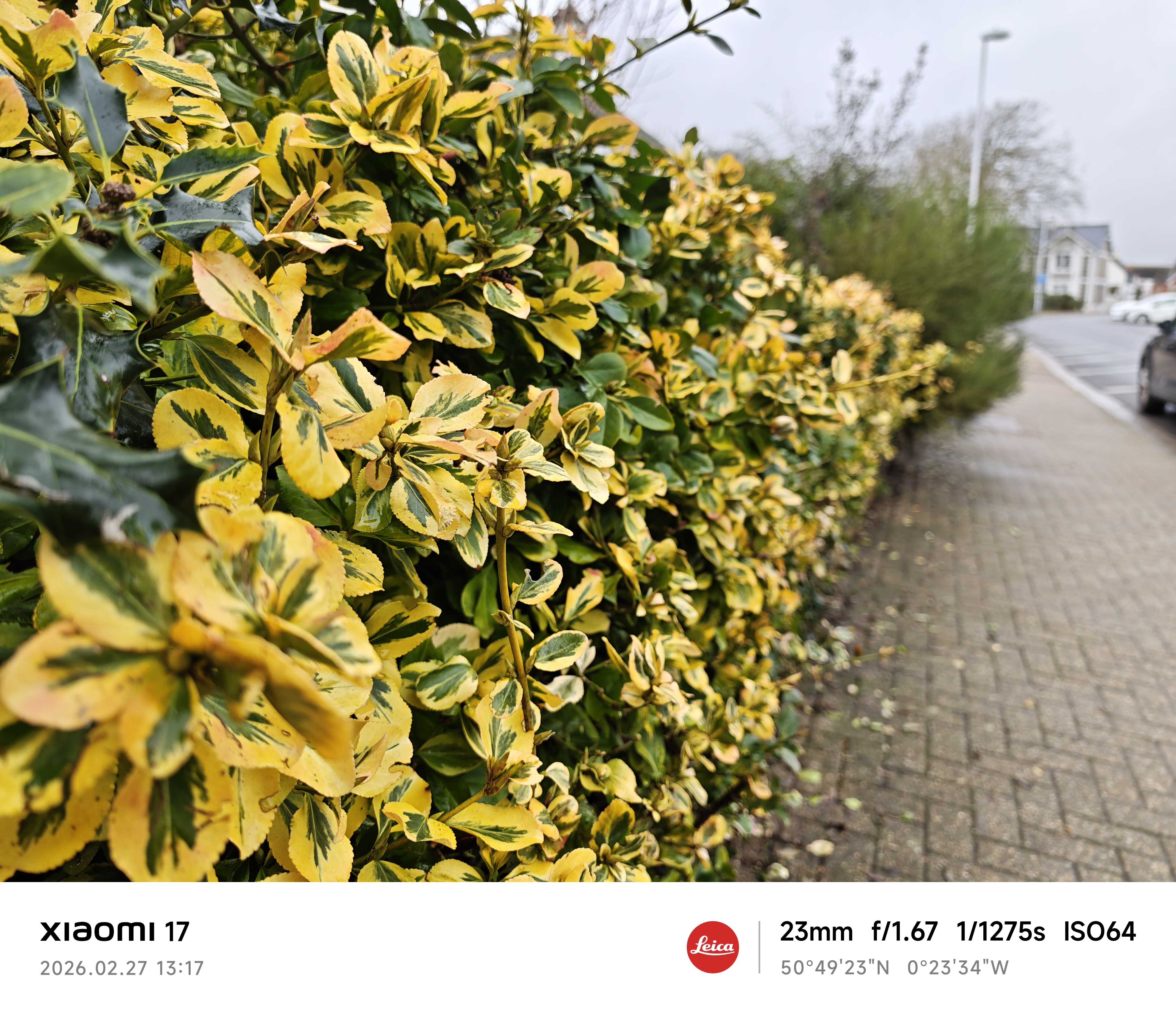 Xiaomi 17 camera sample Leica Vivid