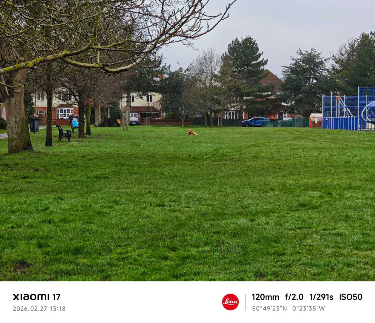 Xiaomi 17 camera sample dog zoom 5x