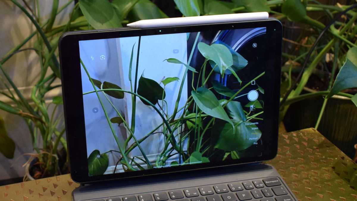 The Xiaomi Pad 8 in its camera app, with the viewfinder showing a plant.