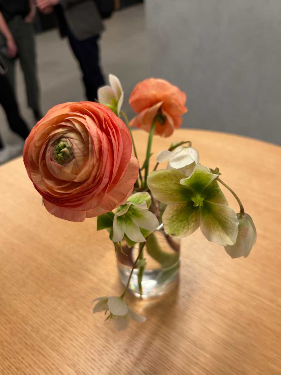 Apple March 2026 special experience 4