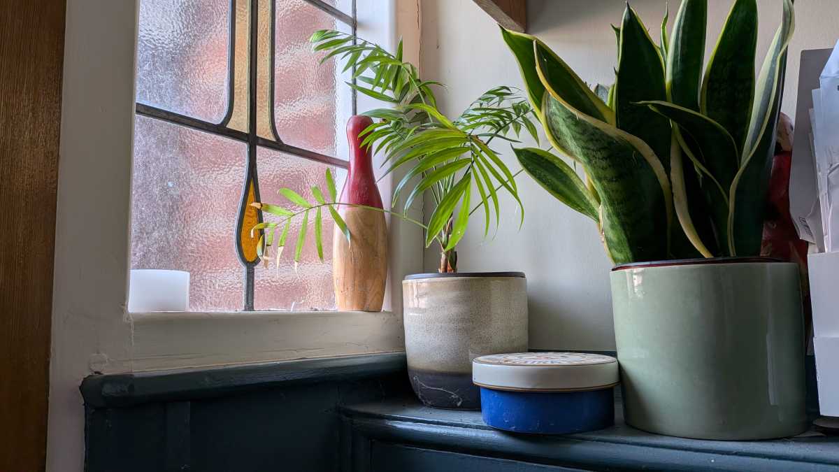 Pixel 10a camera test 17