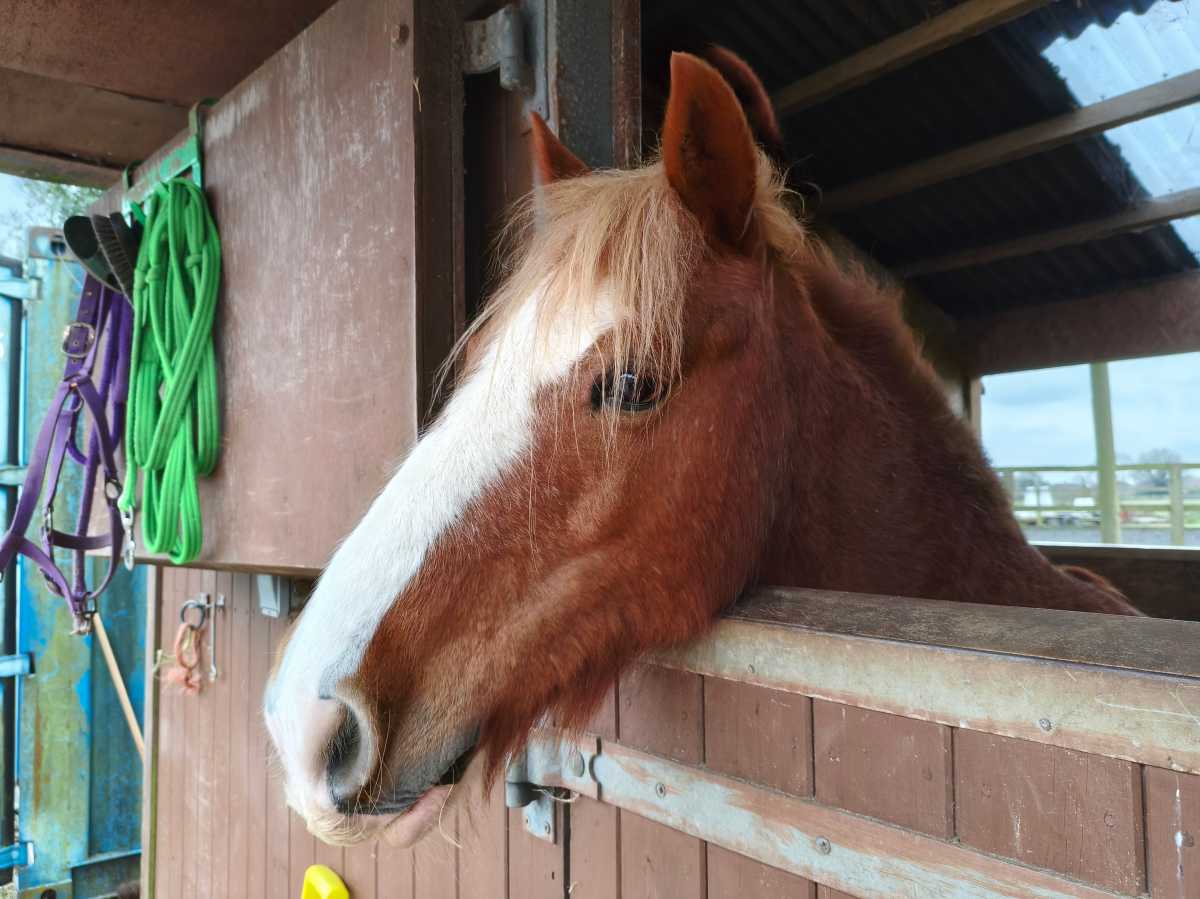 Poco X8 Pro Max Test Photo 1