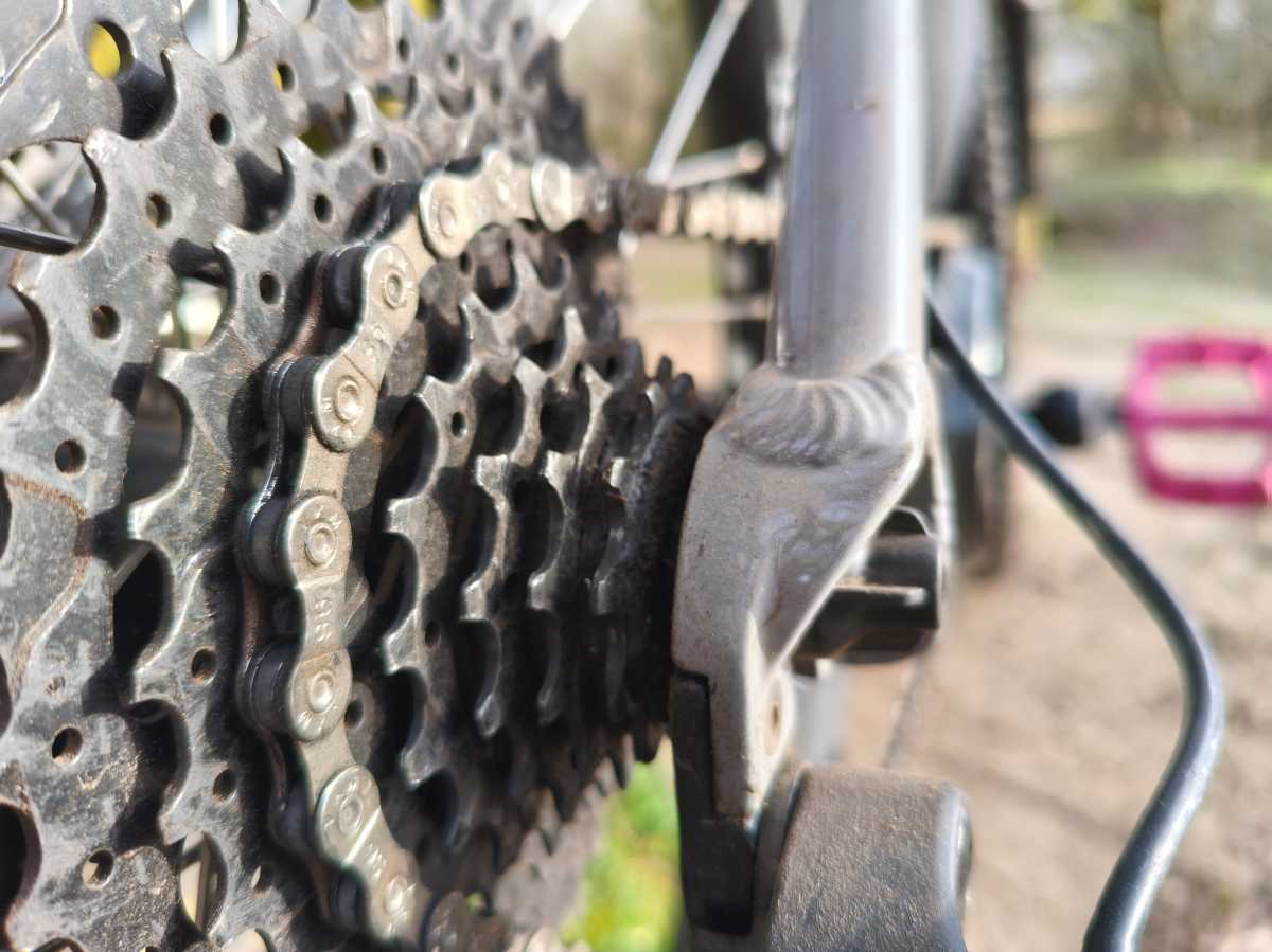 Poco X8 Pro Max Test Photo 11