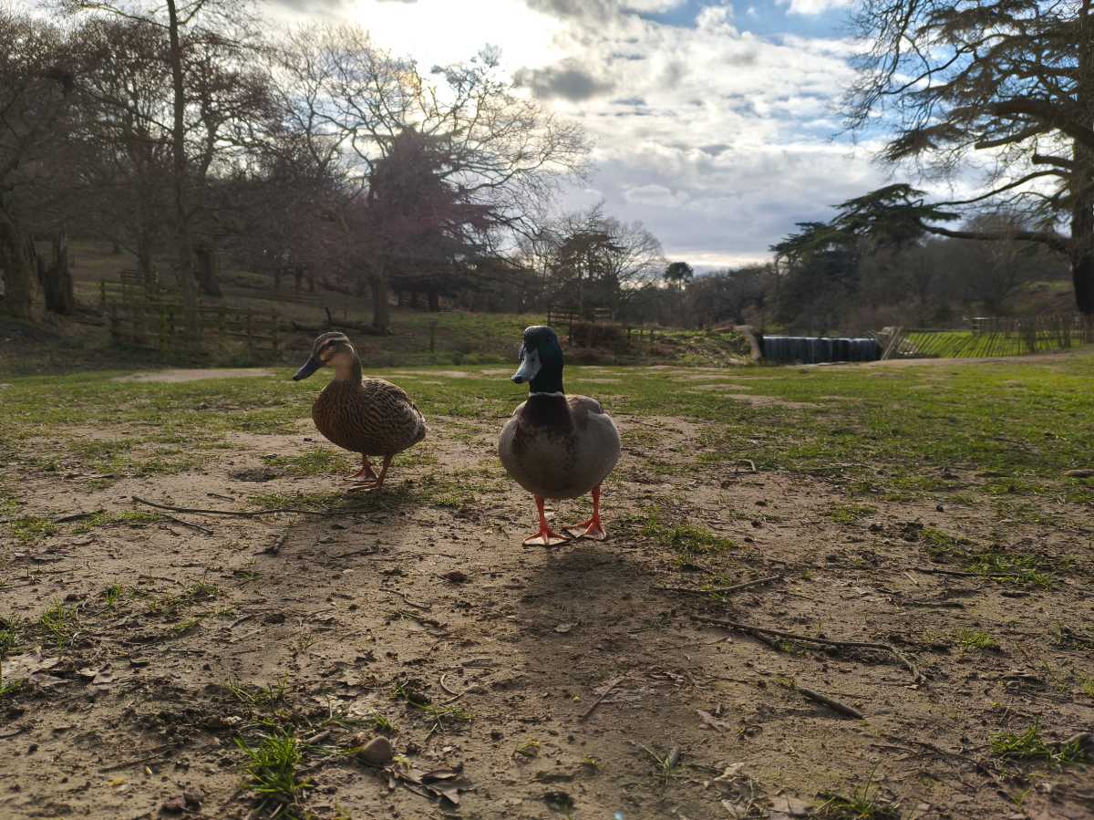 Poco X8 Pro Max Test Photo 12