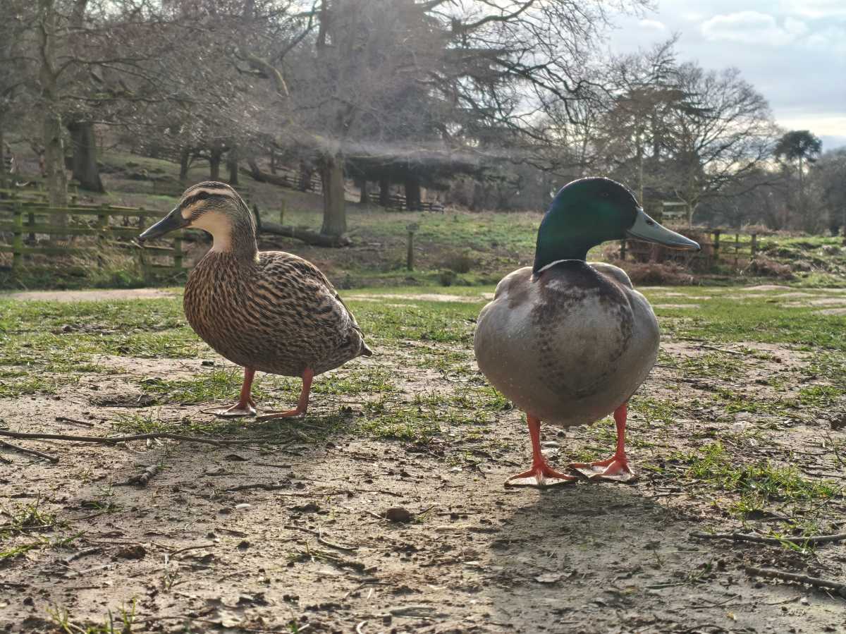 Poco X8 Pro Max Test Photo 13